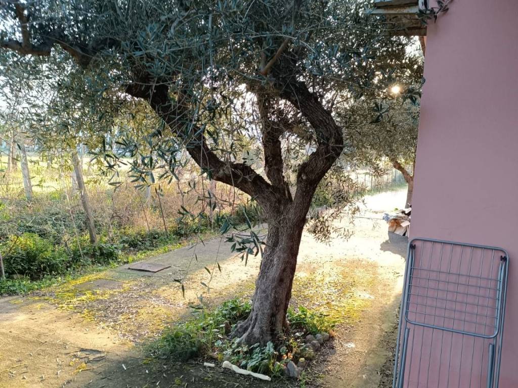 Villa a Terracina - Foto 4