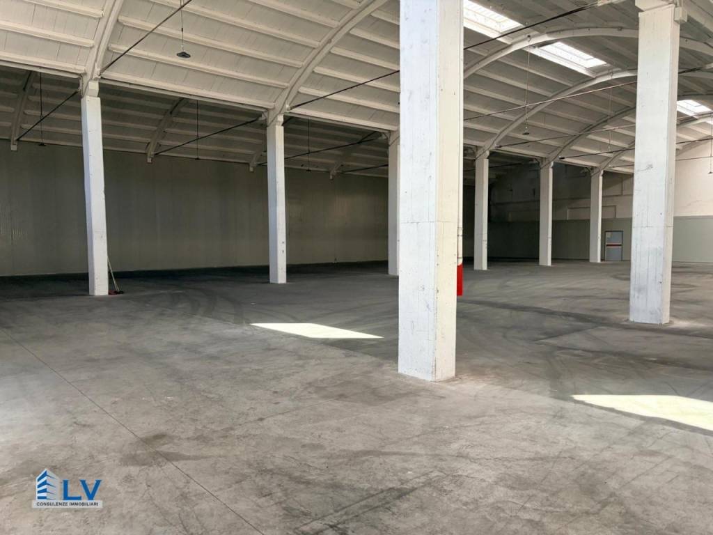 Immobile a Frosinone - Foto 3