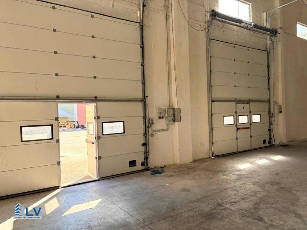 Immobile a Frosinone - Foto 4