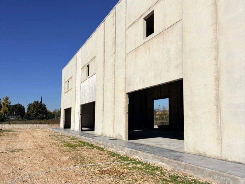 Immobile a Frosinone - Foto 2