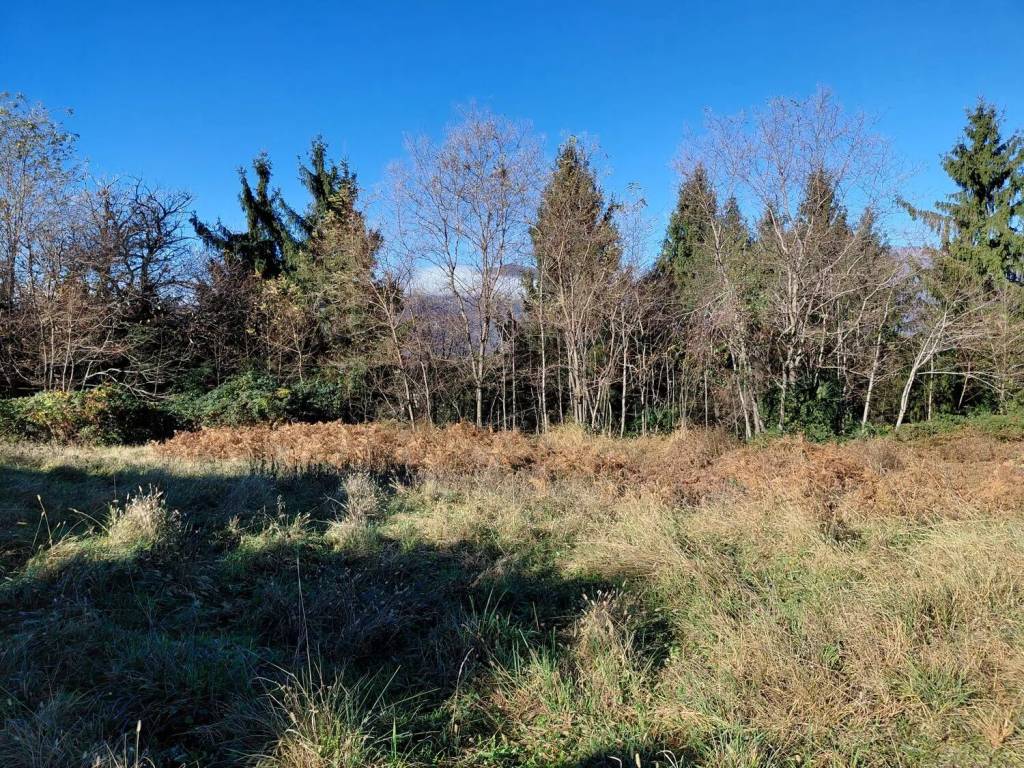 Terreno a Castelveccana in Via Galileo Galilei No Number - Foto 3