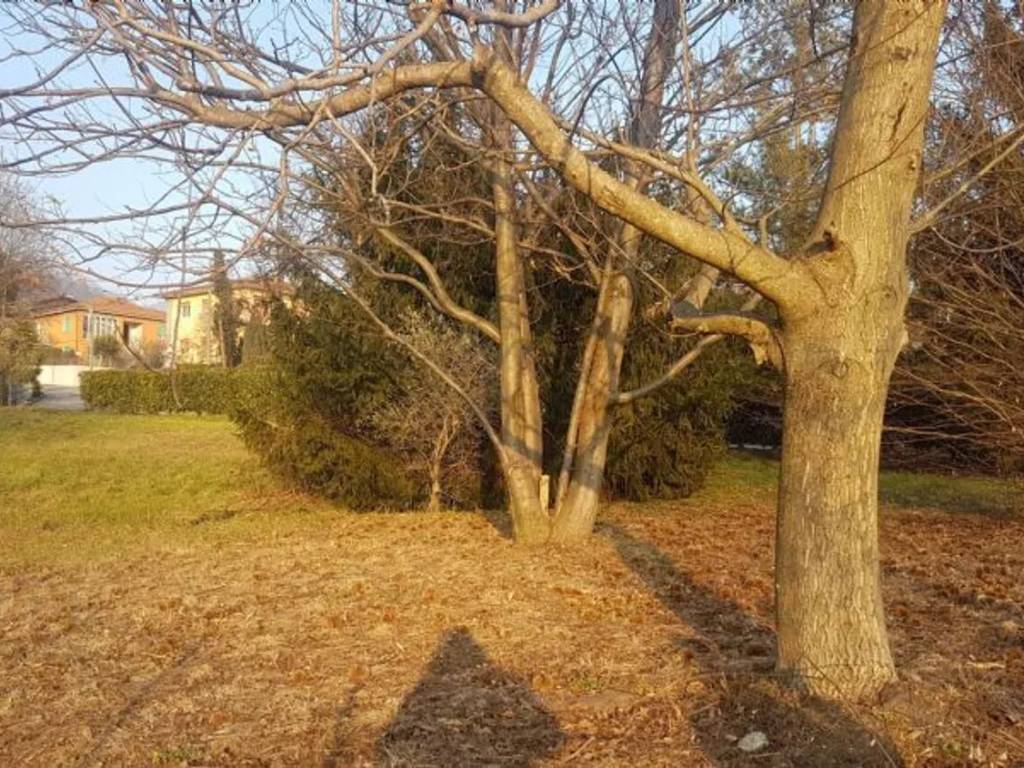 Terreno a Cittiglio in Via Cascine No Number - Foto 4