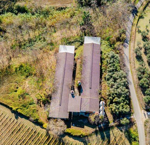 Terreno a Manoppello in Contrada Pesaro Canale - Foto 2