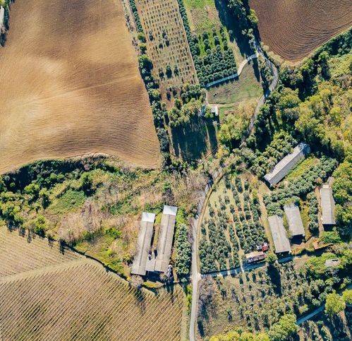Terreno a Manoppello in Contrada Pesaro Canale - Foto 3