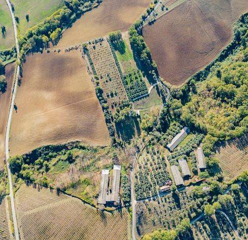 Terreno a Manoppello in Contrada Pesaro Canale - Foto 4
