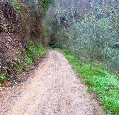 Rustico / casale a Arcola in Via Carpione - Foto 3