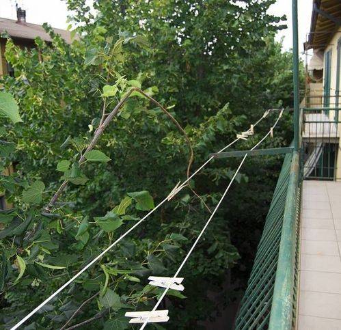 Appartamento a Abbadia san salvatore - Foto 5