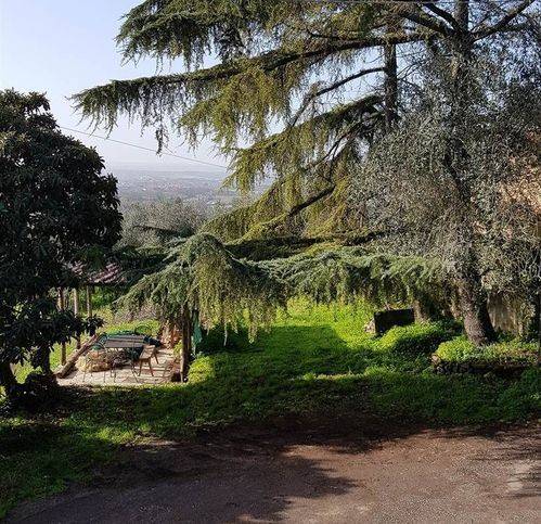 Rustico / casale a Larciano - Foto 3