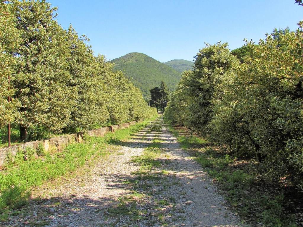 Villa a Lucca in Via Vecchia di Vicopelago, 286 - Foto 2