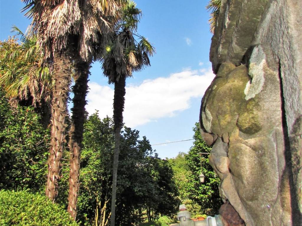 Villa a Lucca in Via Vecchia di Vicopelago, 286 - Foto 3