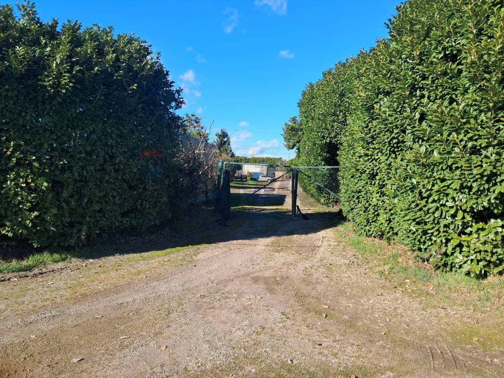 Rustico / casale a Marcallo con casone - Foto 4