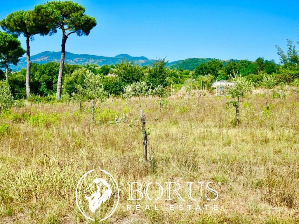 Terreno a Sessa aurunca in Via Travata - Foto 2