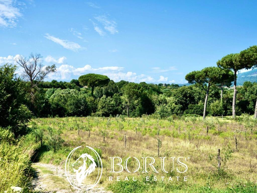 Terreno a Sessa aurunca in Via Travata - Foto 4