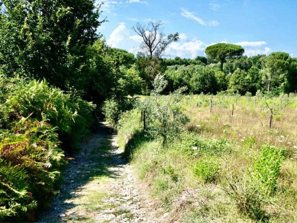 Terreno a Sessa aurunca in Via Travata - Foto 5