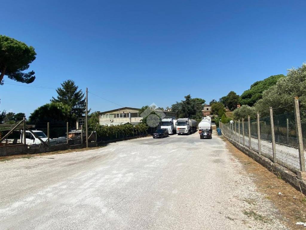 Immobile a Albano laziale in Via di Valle Pozzo, 16 - Foto 3