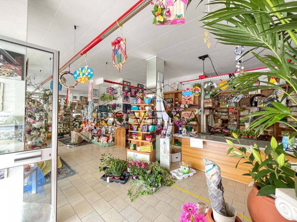 Immobile a Treviso in Strada Canizzano - Foto 3