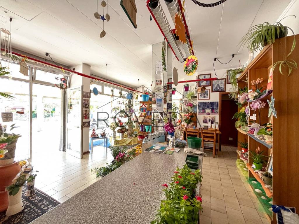 Immobile a Treviso in Strada Canizzano - Foto 4