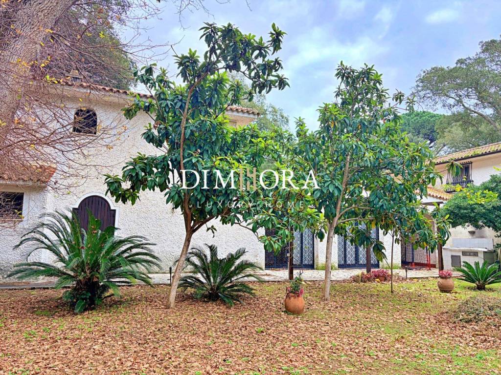 Villa a Sabaudia in Via delle Querce, 25 - Foto 3