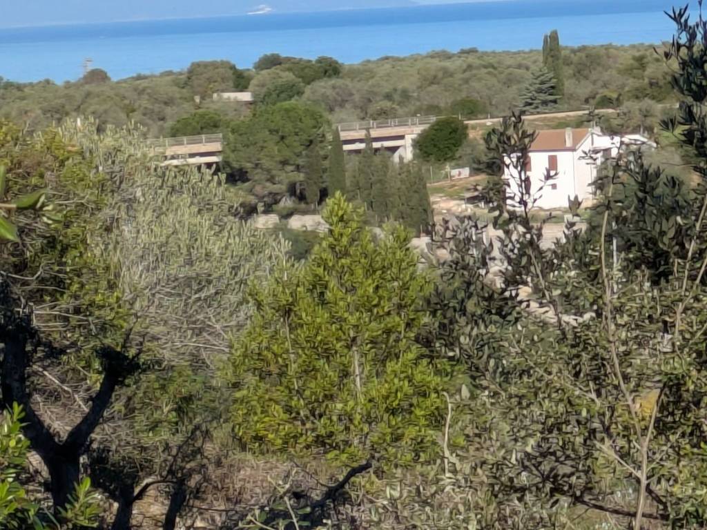 Rustico / casale a Sorso in Strada Vicinale l'Abbiu - Foto 5