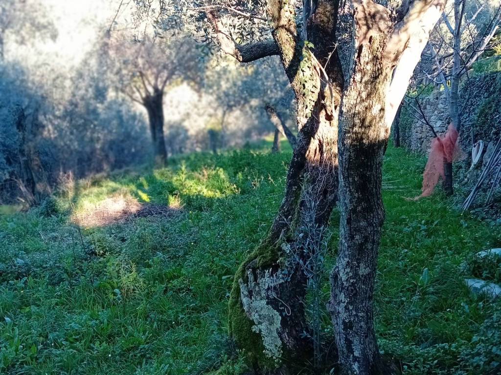 Appartamento a Recco in Via Gerolamo Speroni, 7 - Foto 2
