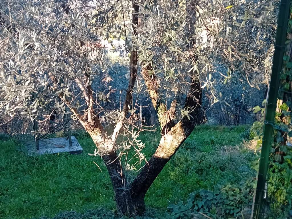 Appartamento a Recco in Via Gerolamo Speroni, 7 - Foto 4