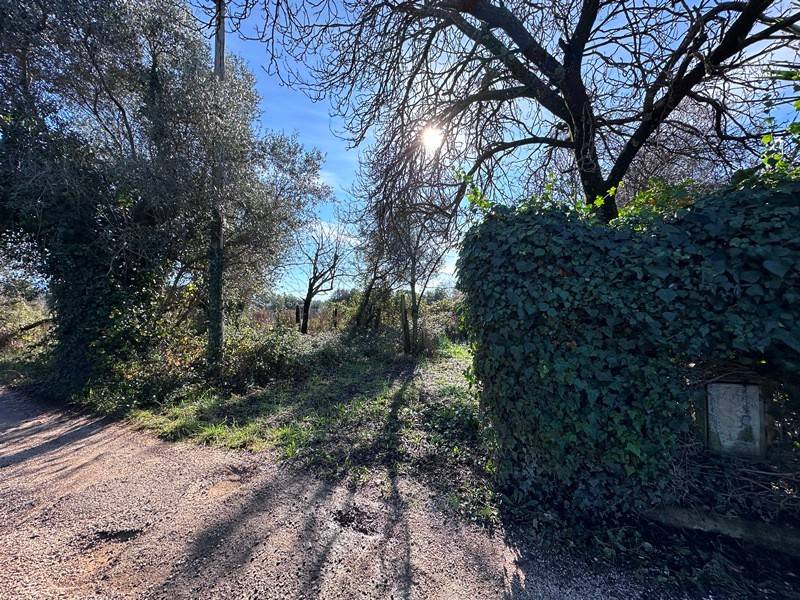 Villa a Velletri in Via Rioli - Foto 5