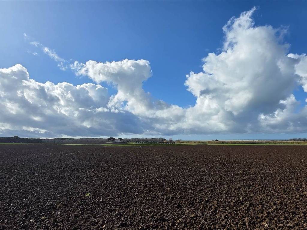 Rustico / casale a Tarquinia - Foto 5