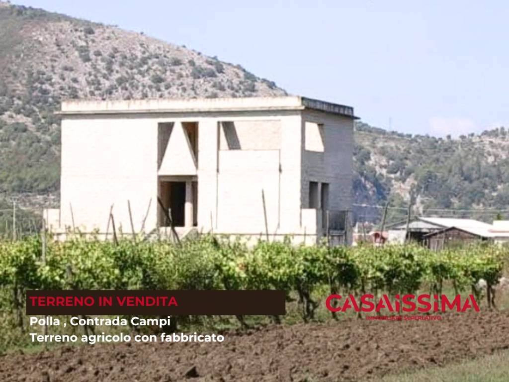 Terreno a Polla - Foto 3