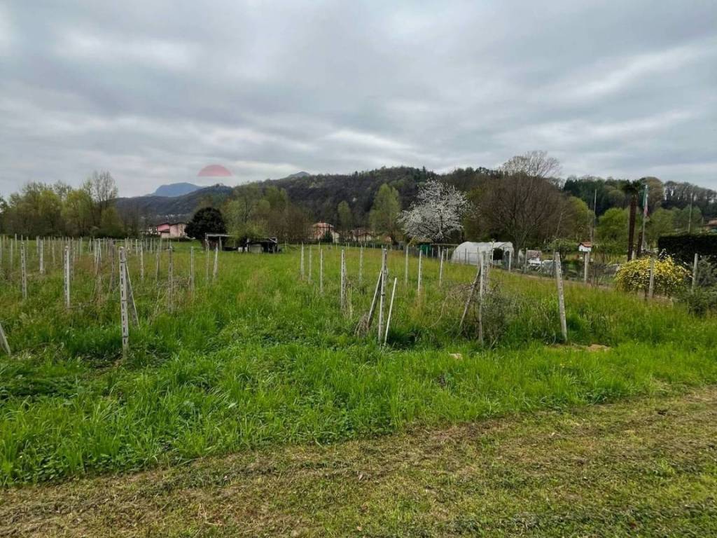 Terreno a Luino - Foto 3