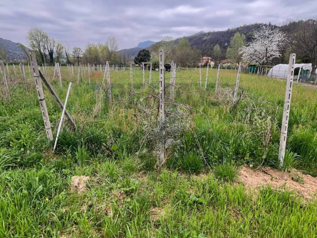 Terreno a Luino - Foto 4