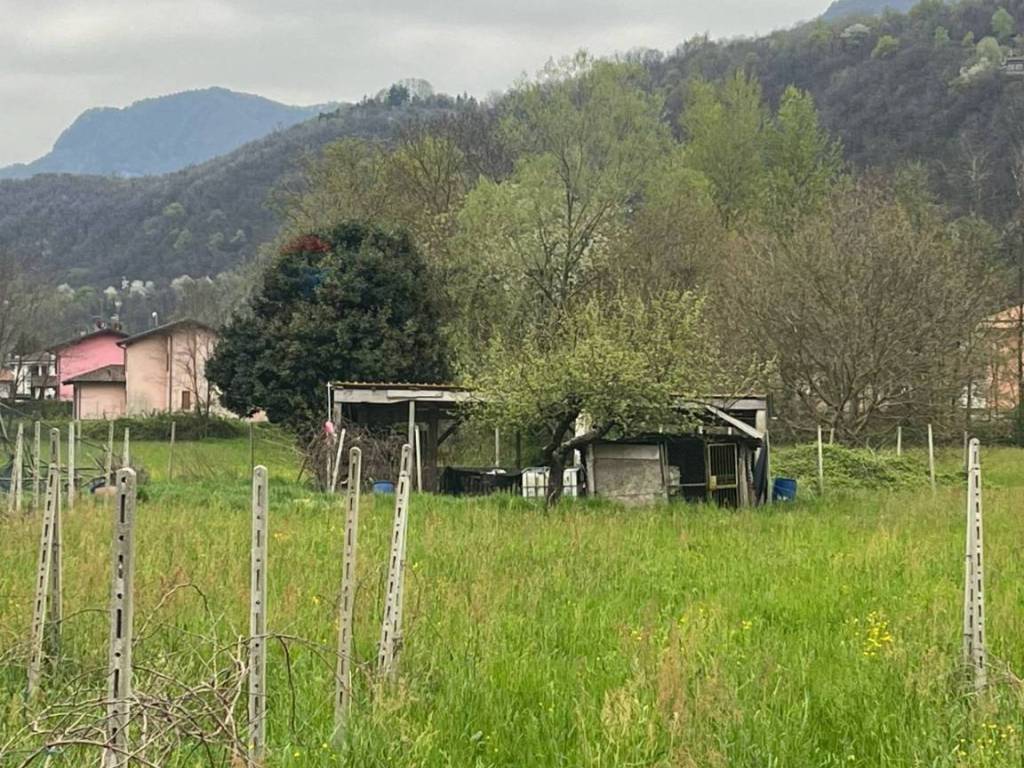 Terreno a Luino - Foto 5