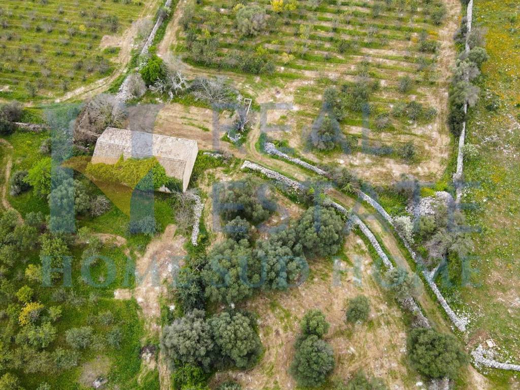 Rustico / casale a Noto in Via Tommaso Fazello, 228 - Foto 5