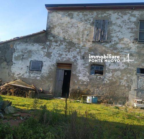 Rustico / casale a Cervia - Foto 4