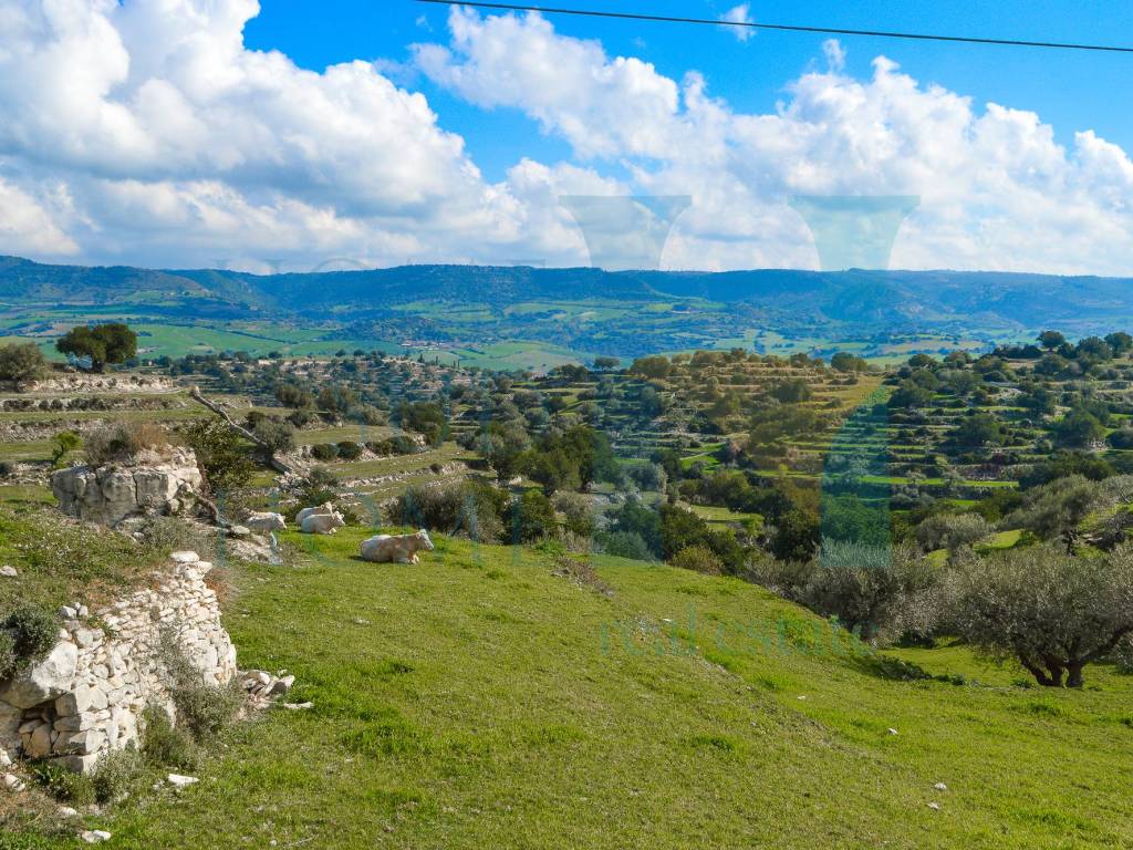 Rustico / casale a Modica - Foto 2