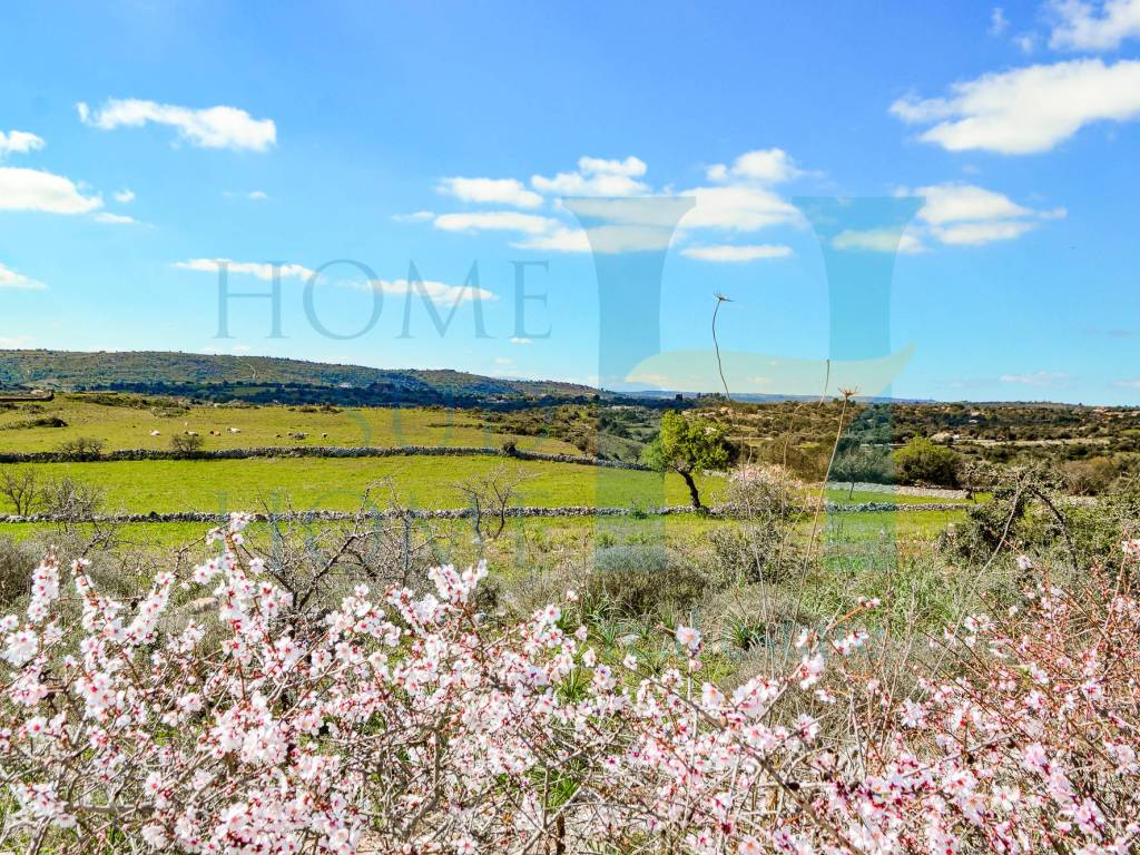 Rustico / casale a Noto - Foto 2