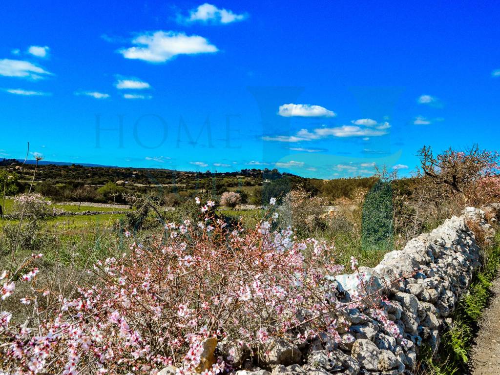 Rustico / casale a Noto - Foto 3