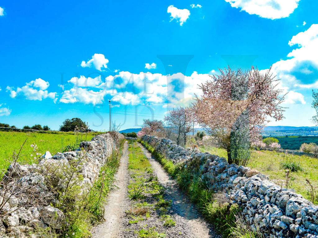 Rustico / casale a Noto - Foto 4