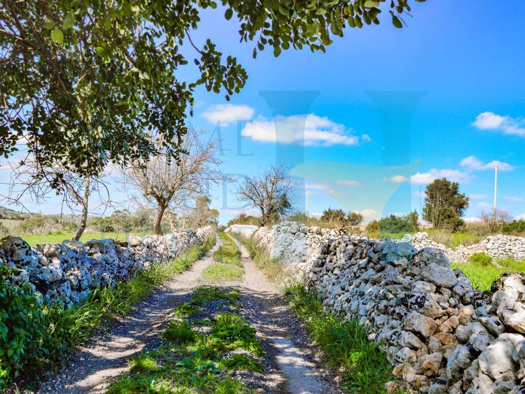 Rustico / casale a Noto - Foto 5