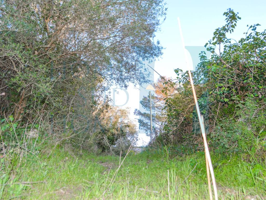 Rustico / casale a Noto - Foto 2