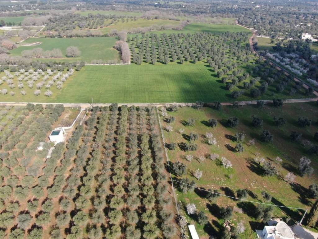 Terreno a Carovigno in SP31 - Foto 4