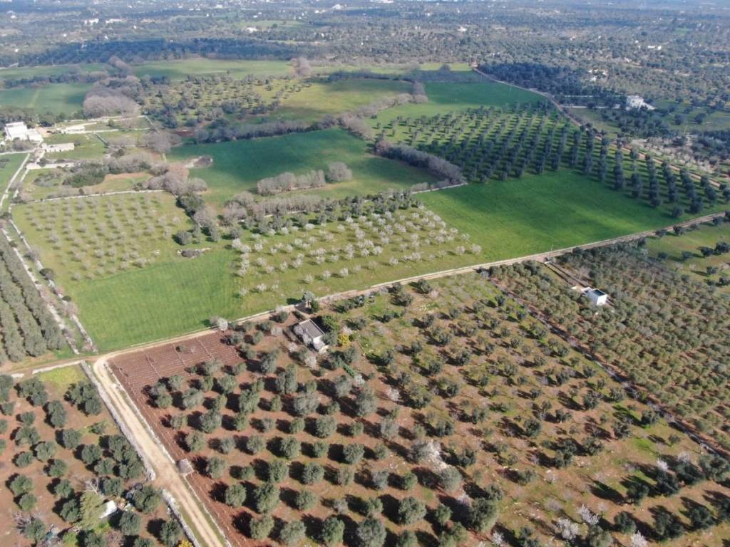 Terreno a Carovigno in SP31 - Foto 5
