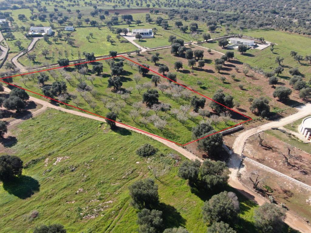 Terreno a Carovigno in Contrada Bufolaria - Foto 5