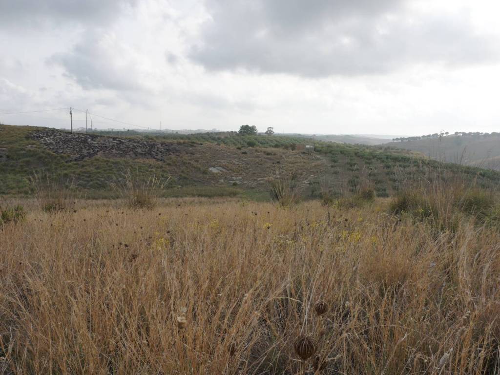 Terreno a Castelvetrano - Foto 4