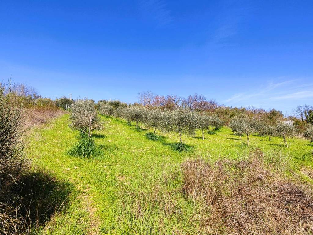 Terreno a Perugia in Via Veio - Foto 2