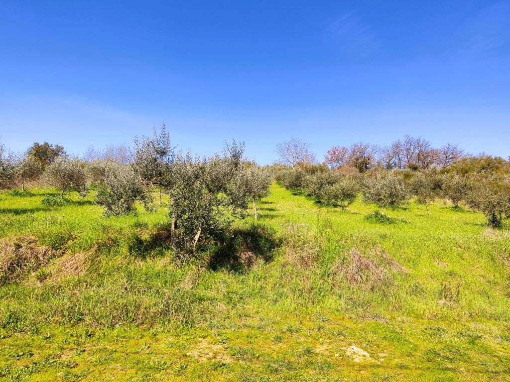 Terreno a Perugia in Via Veio - Foto 3