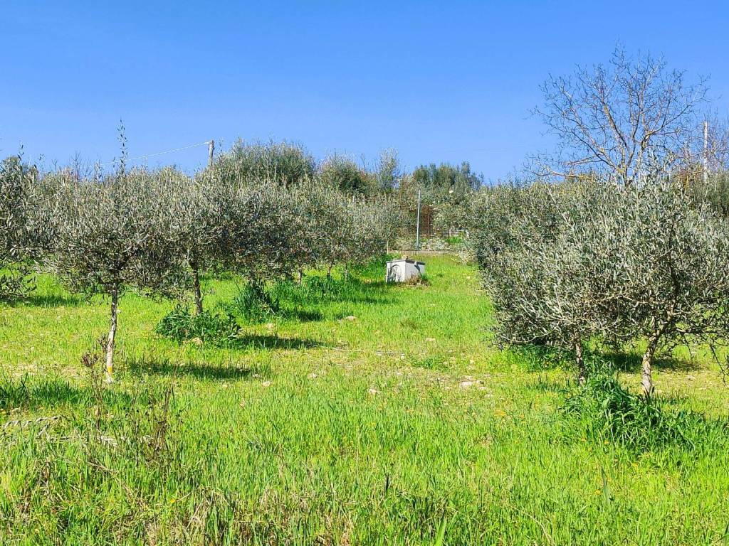 Terreno a Perugia in Via Veio - Foto 4