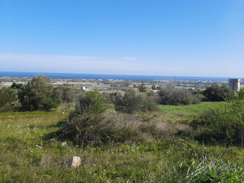 Terreno a Mola di bari in strada san Materno - Foto 2