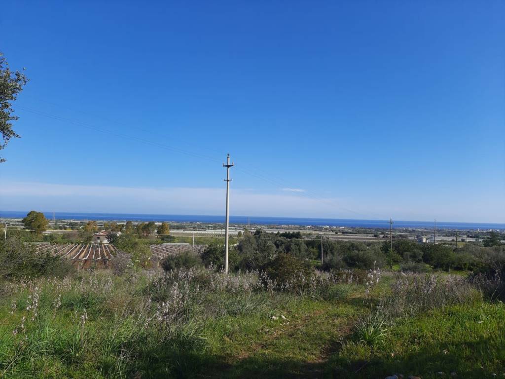Terreno a Mola di bari in strada san Materno - Foto 3