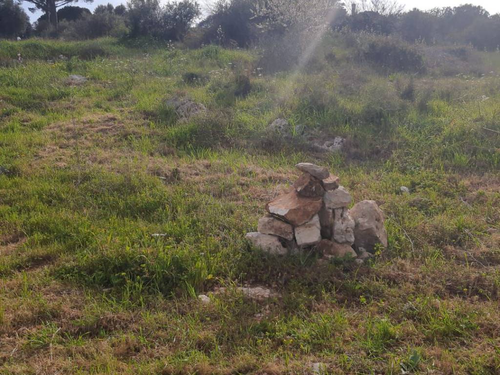 Terreno a Mola di bari in strada san Materno - Foto 5