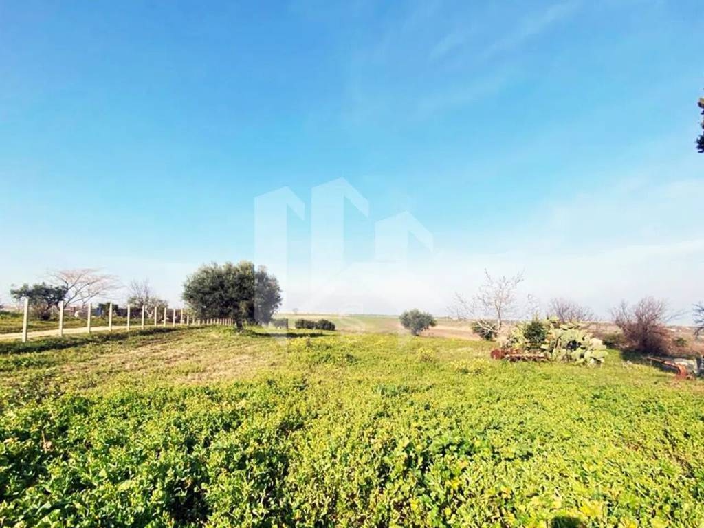 Terreno a Termoli in Via Mincio S.N.C. - Foto 2